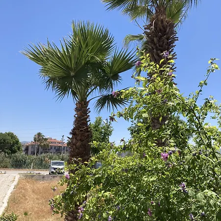 Olimpia Ξενοδοχείο *